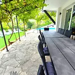 Arode Dionysus * Balchik